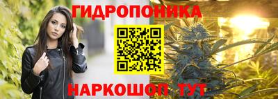 бутират Кингисепп